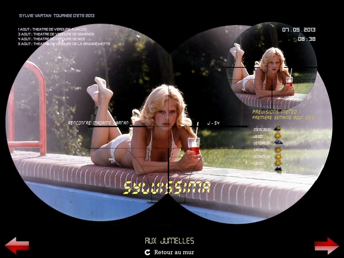 Sylvie Vartan Galerie Fan Art Sylvissima, Jumelles