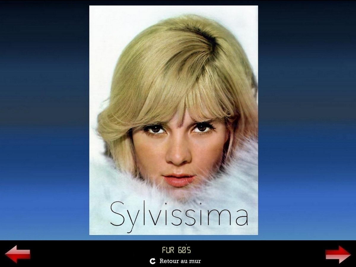 Sylvie Vartan Galerie Fan Art Sylvissima, Fourrure 60's