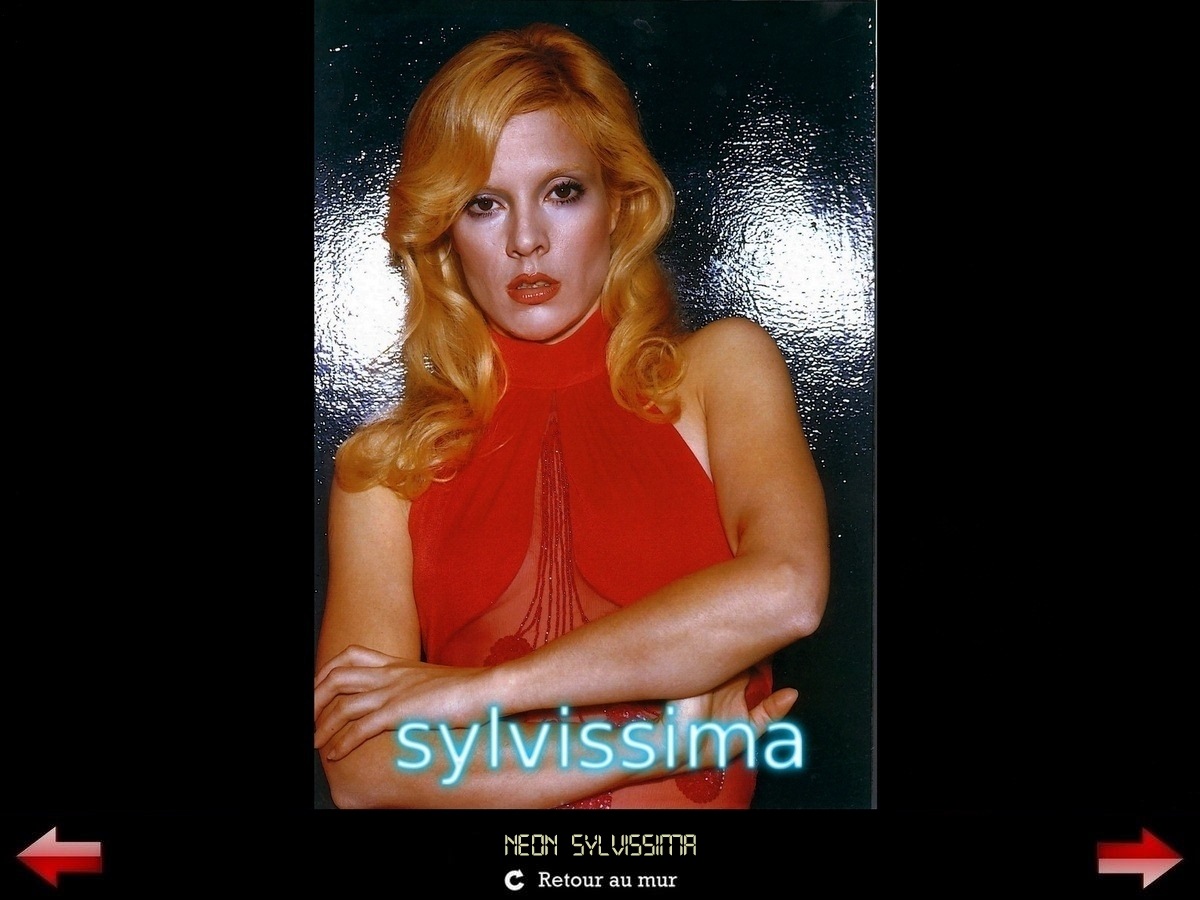 Sylvie Vartan Galerie Fan Art Sylvissima, Néon Sylvissima