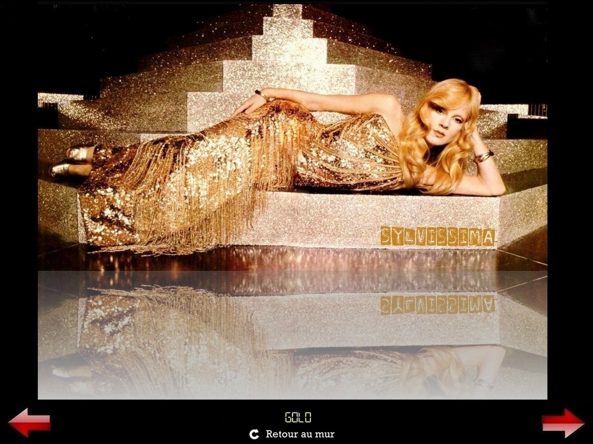 Sylvie Vartan Galerie Fan Art Sylvissima, Gold