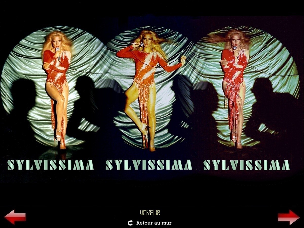 Sylvie Vartan Galerie Fan Art Sylvissima, Voyeur