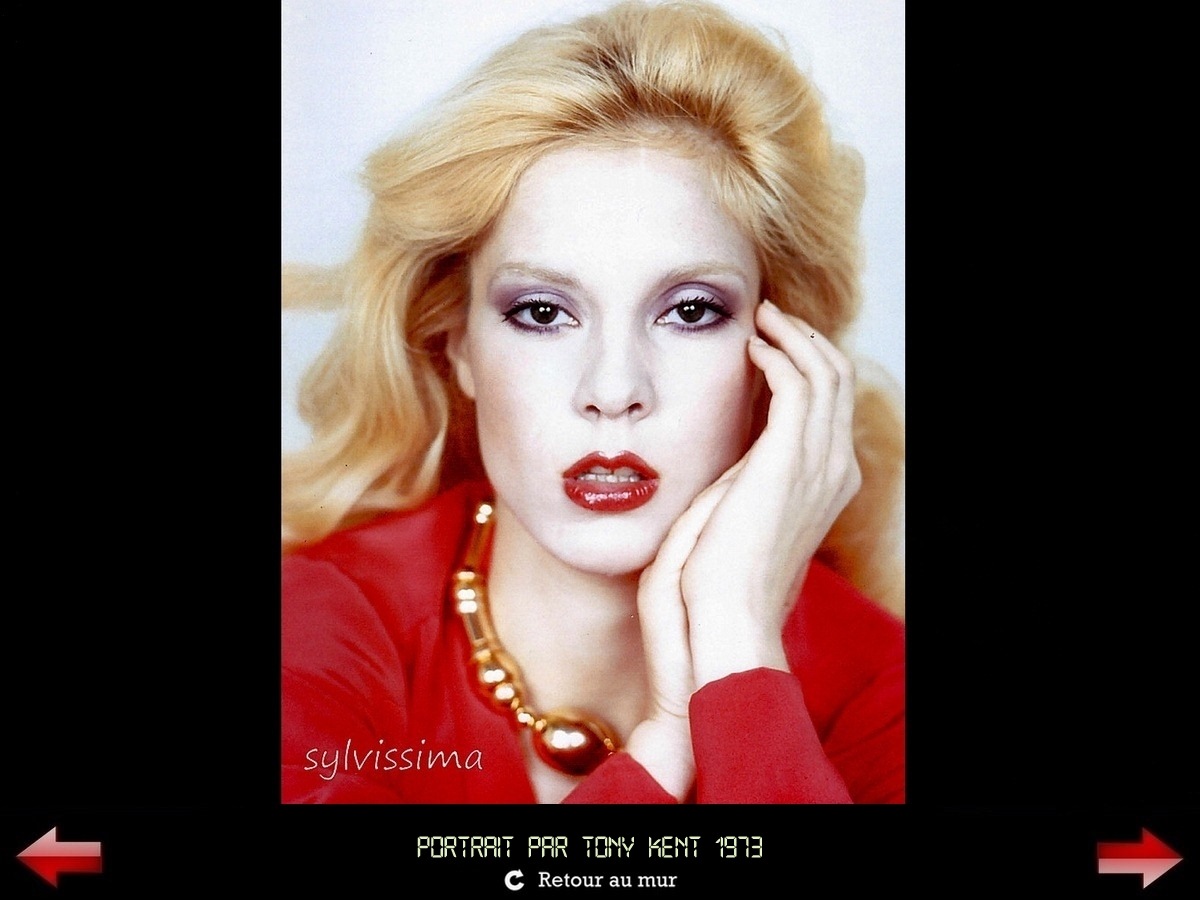 Sylvie Vartan Galerie Fan Art Sylvissima, Tony Kent, 1973, Portrait