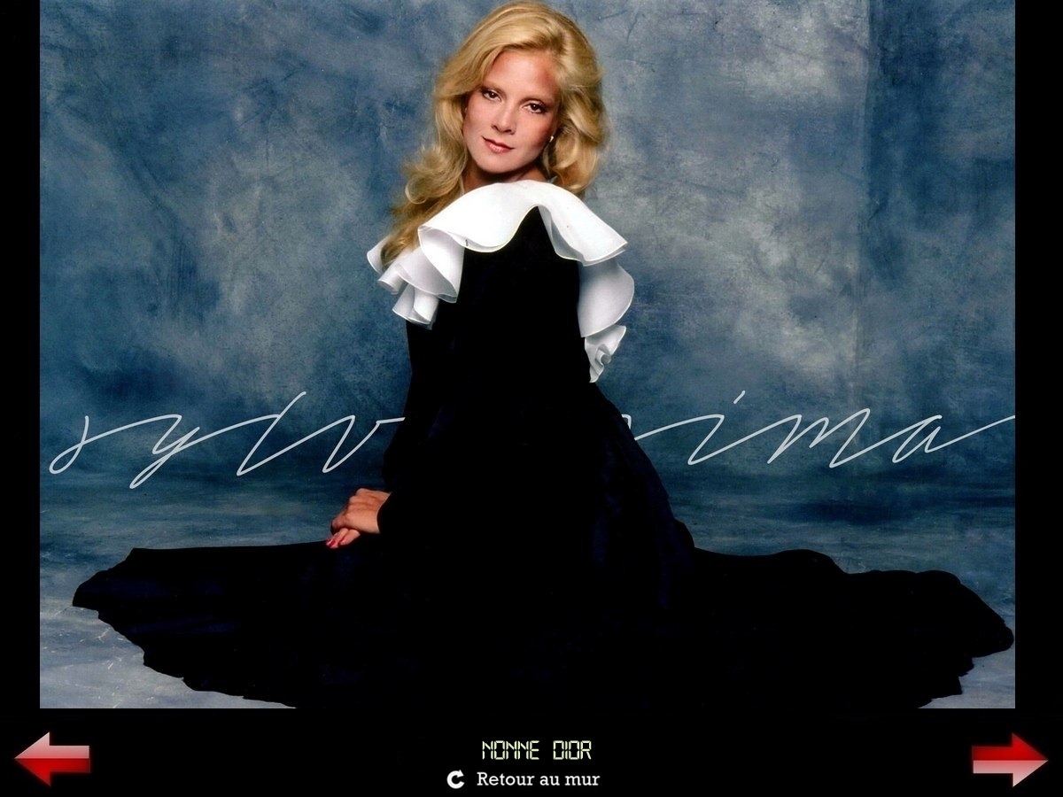 Sylvie Vartan Galerie Fan Art Sylvissima, Robe Dior 1982