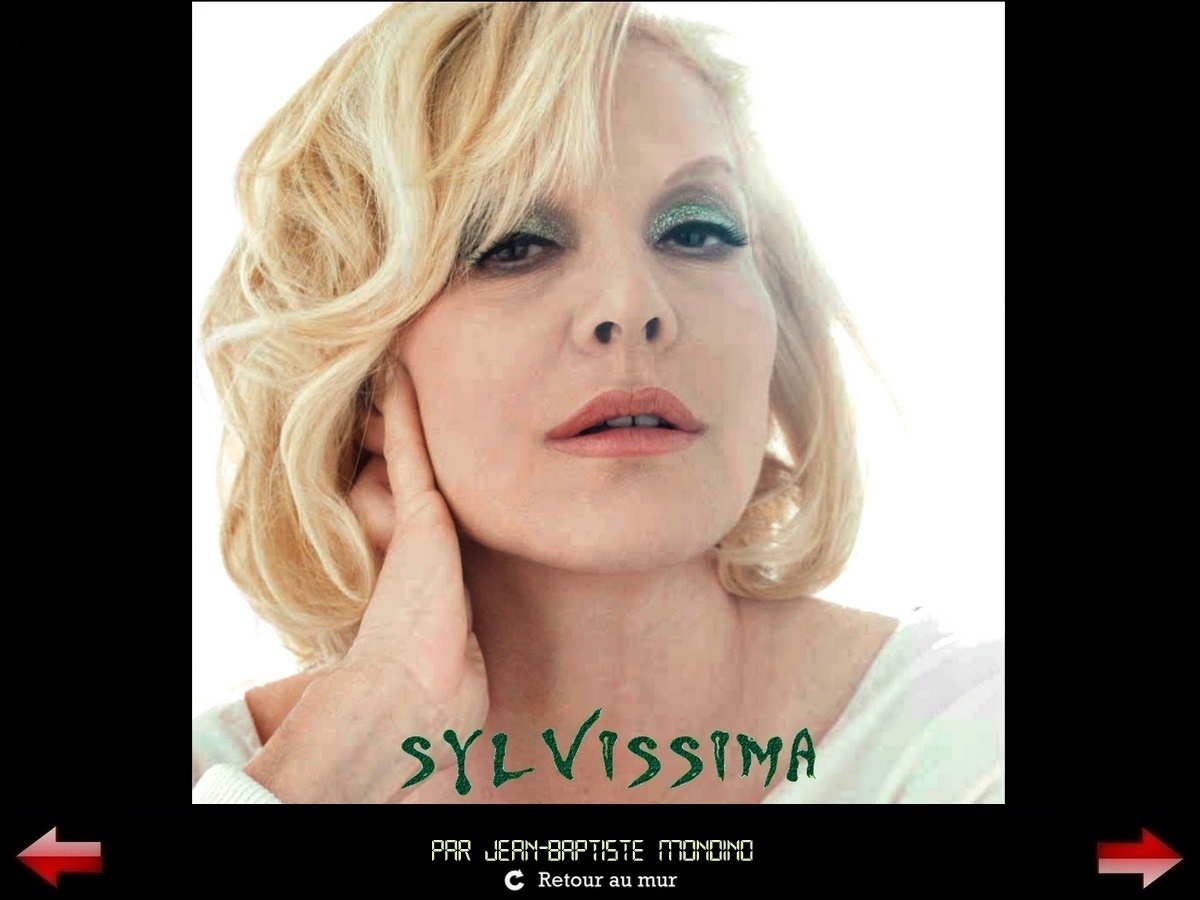 Sylvie Vartan Galerie Fan Art Sylvissima, portrait par Jean-Baptiste Mondino, 2011