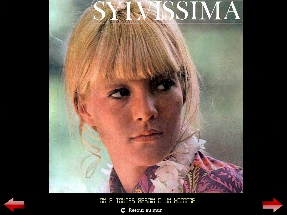 Sylvie Vartan Galerie Fan Art Sylvissima, Besoin d'un homme