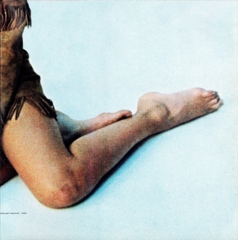Sylvie Vartan Album Italie    Sylvie Vartan  LSP 10205 poster page 4