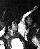 Le public turc fait un accueil délirant à Sylvie Vartan, 1966