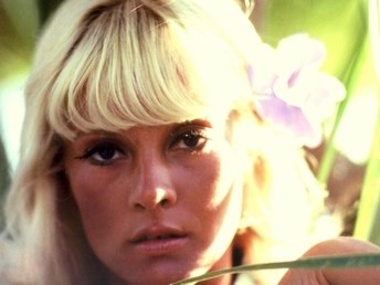 Portrait de Sylvie Vartan en Amérique du Sud par Henri Bureau 1968