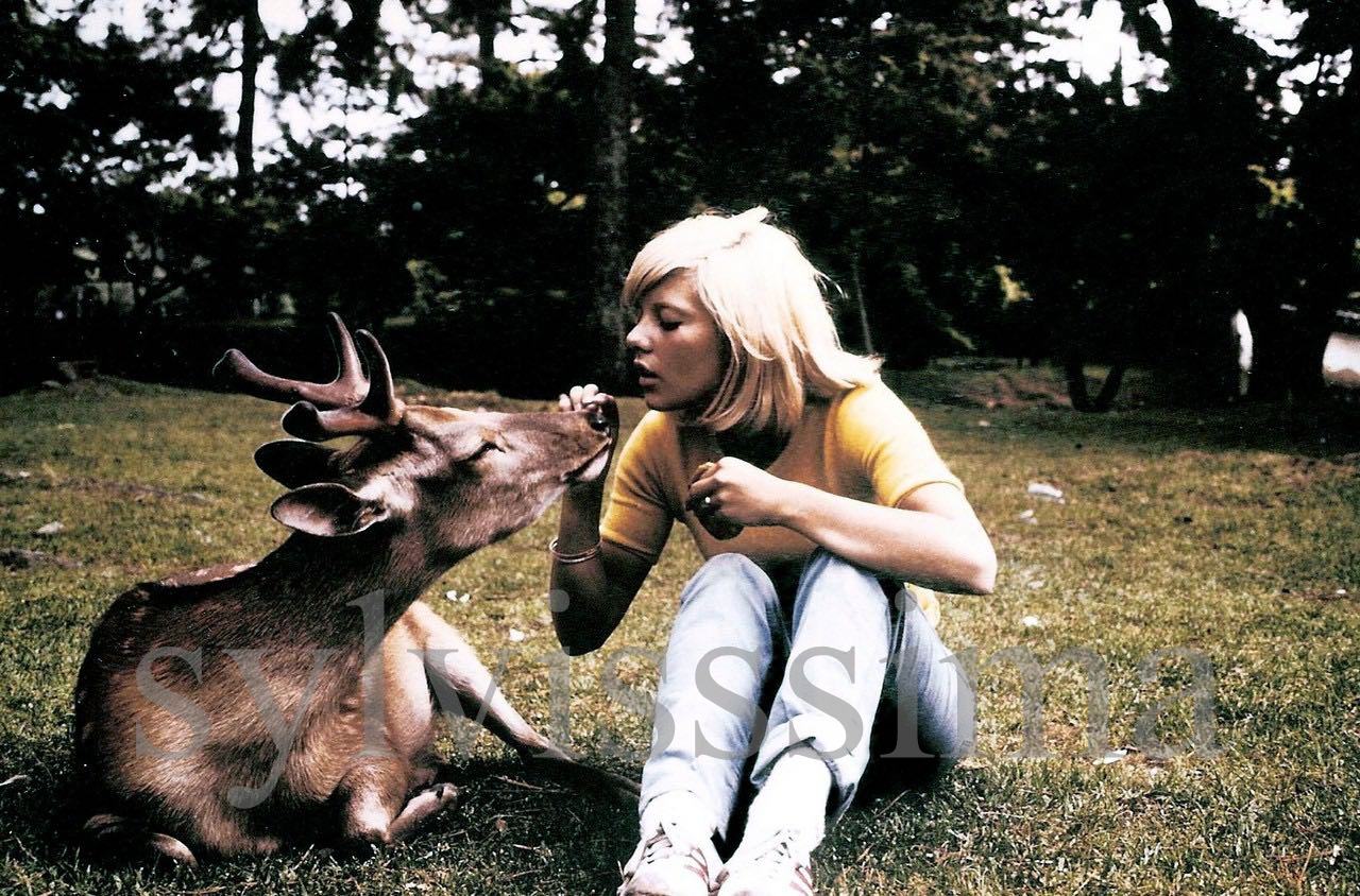 Sylvie Vartan visite le parc aux cerfs de Naraprès de Kyoto, Tournée Japon 1965