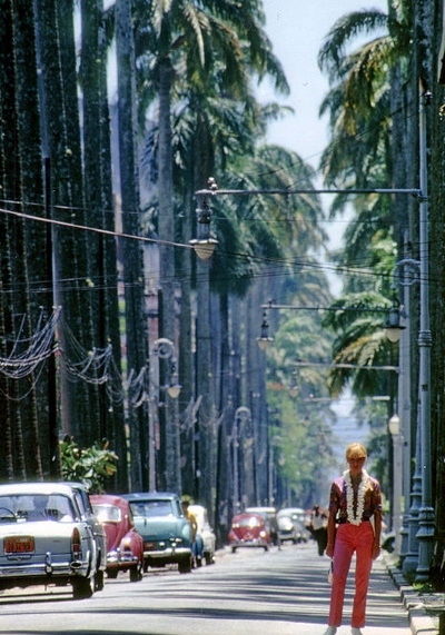 Sylvie Vartan pose devant les palmiers royaux à Rio de Janeiro, 1969